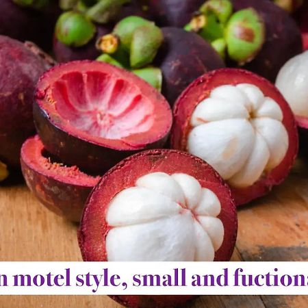 Mangosteen Nowy Orlean Zewnętrze zdjęcie