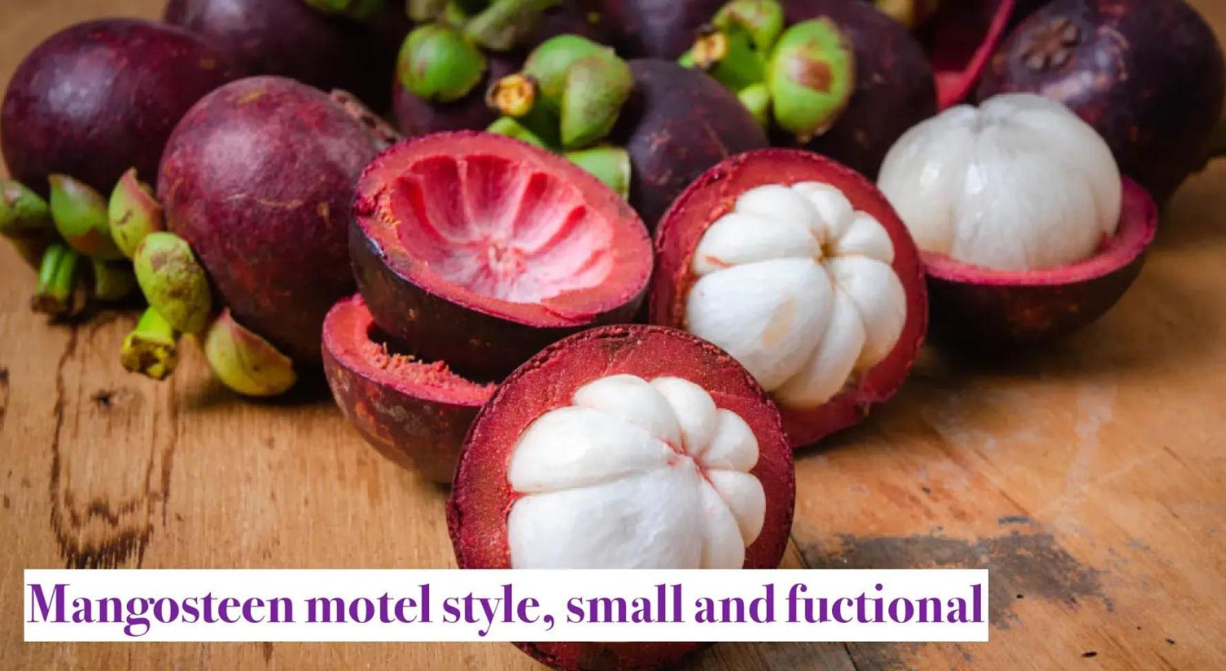 Mangosteen Nowy Orlean Zewnętrze zdjęcie
